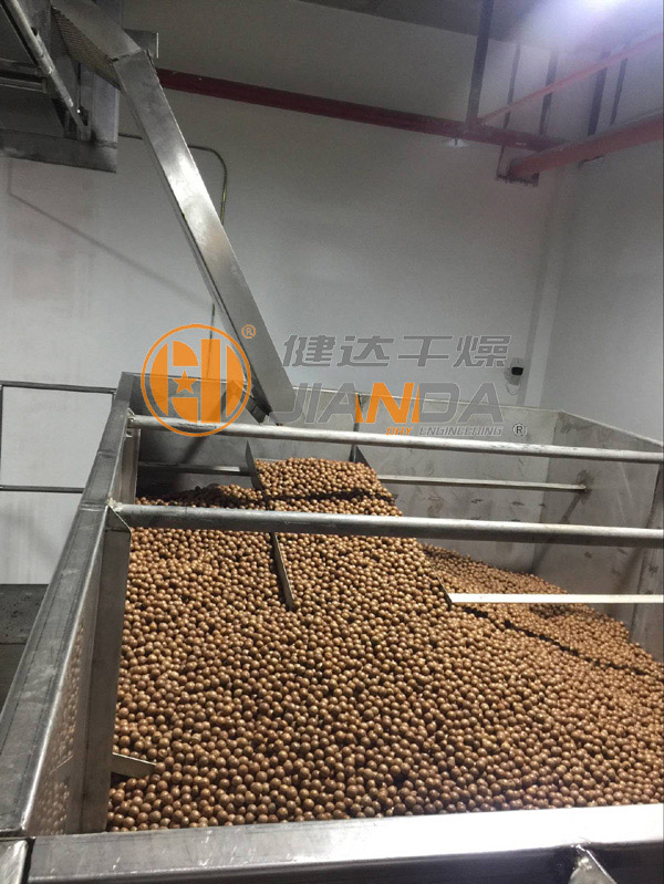 堅(jiān)果干燥生產(chǎn)線(xiàn)上料